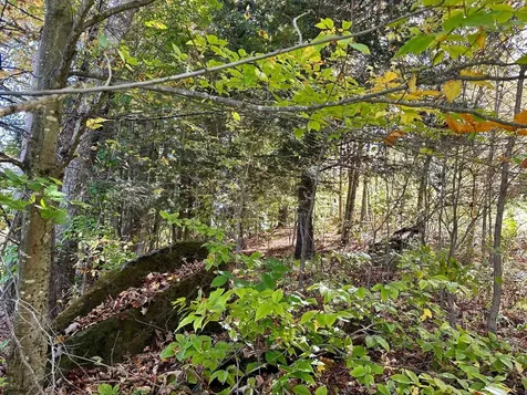 186 Bicknell Hill Road Tunbridge VT 05077