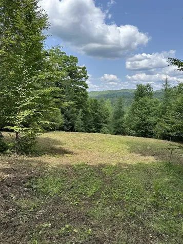 186 Bicknell Hill Road Tunbridge VT 05077