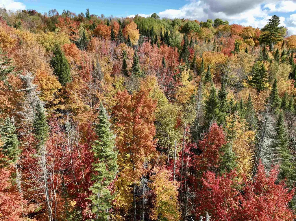 00 West Main Street Lunenburg VT 05906