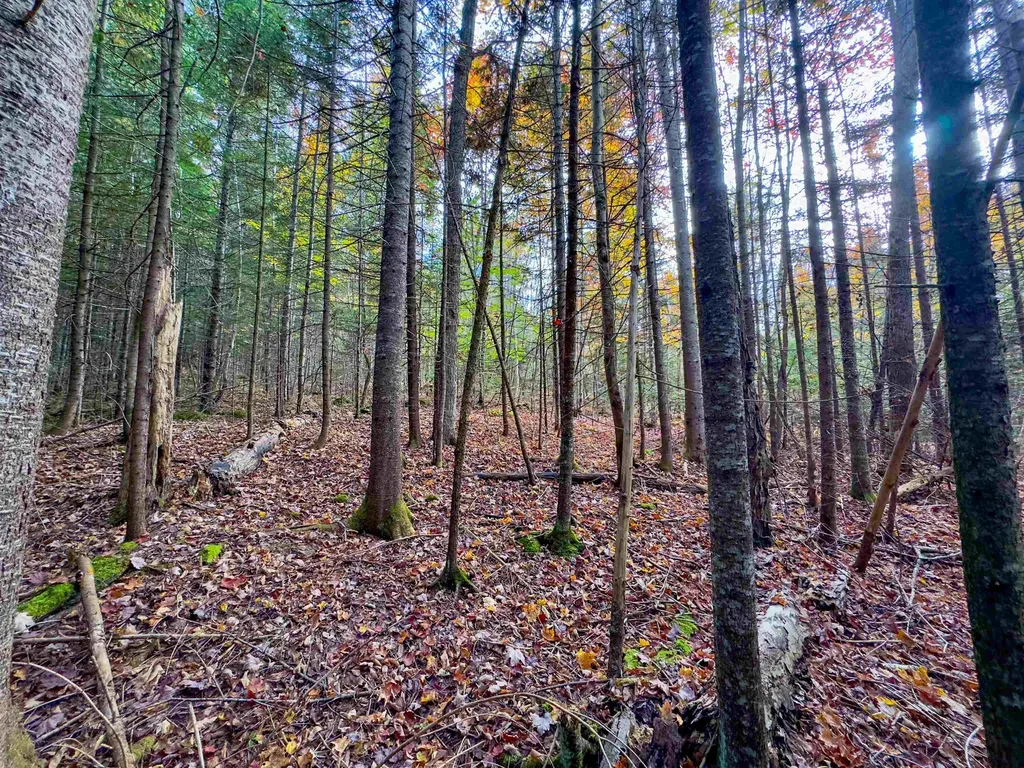 00 West Main Street Lunenburg VT 05906