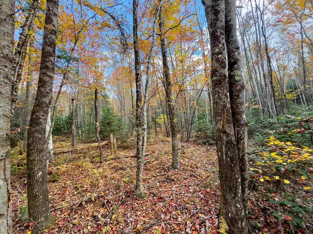 00 West Main Street Lunenburg VT 05906