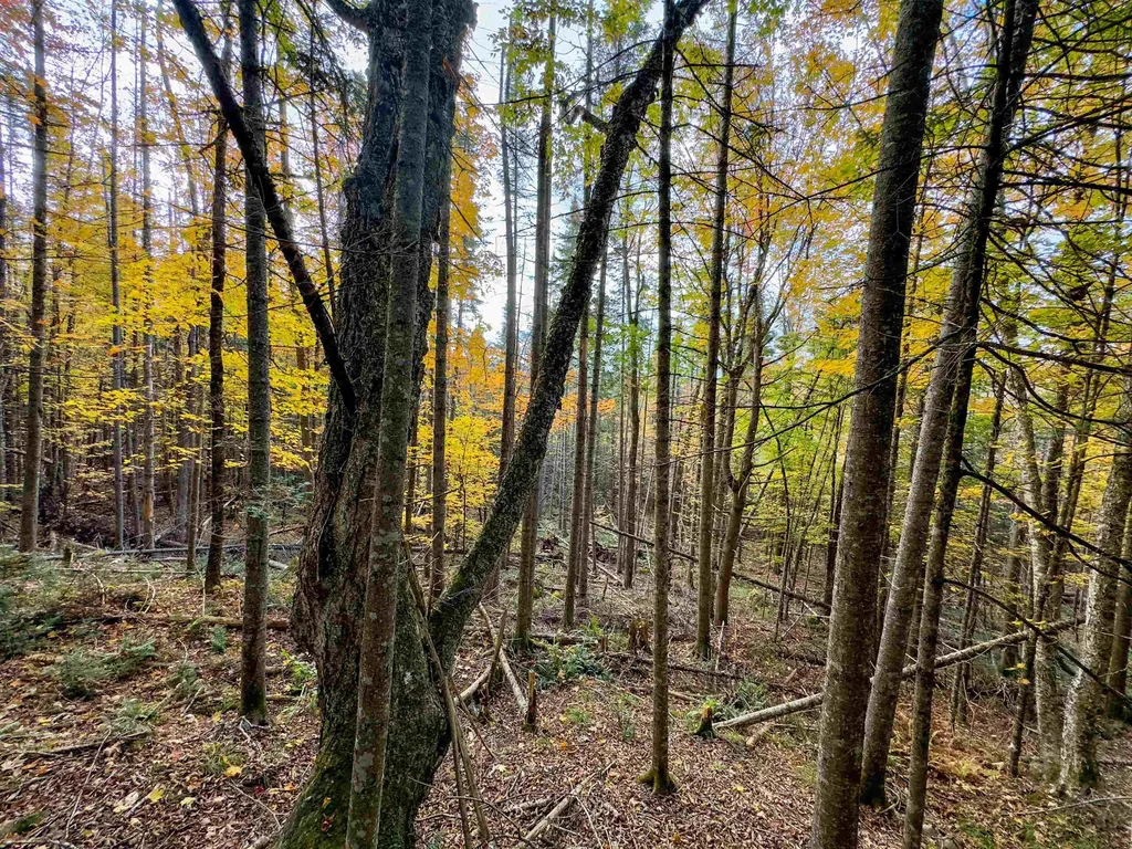 00 West Main Street Lunenburg VT 05906