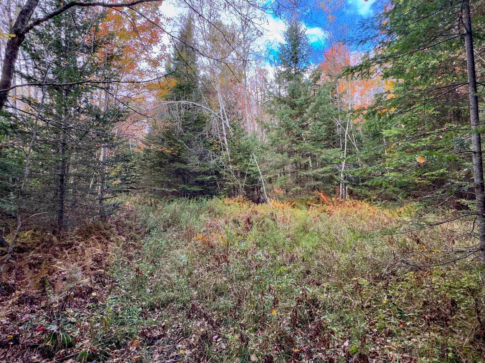 00 West Main Street Lunenburg VT 05906