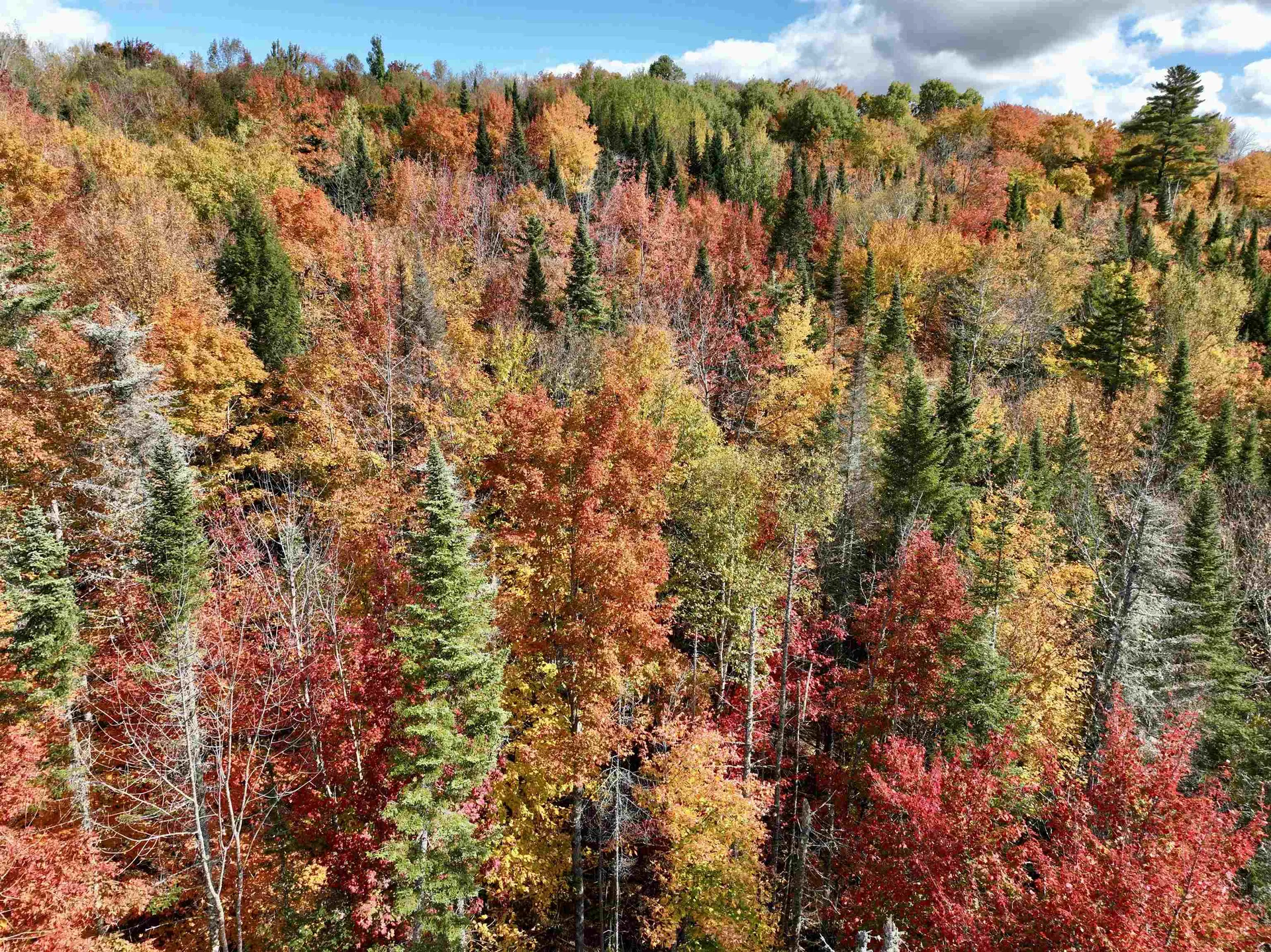 00 West Main Street Lunenburg VT 05906