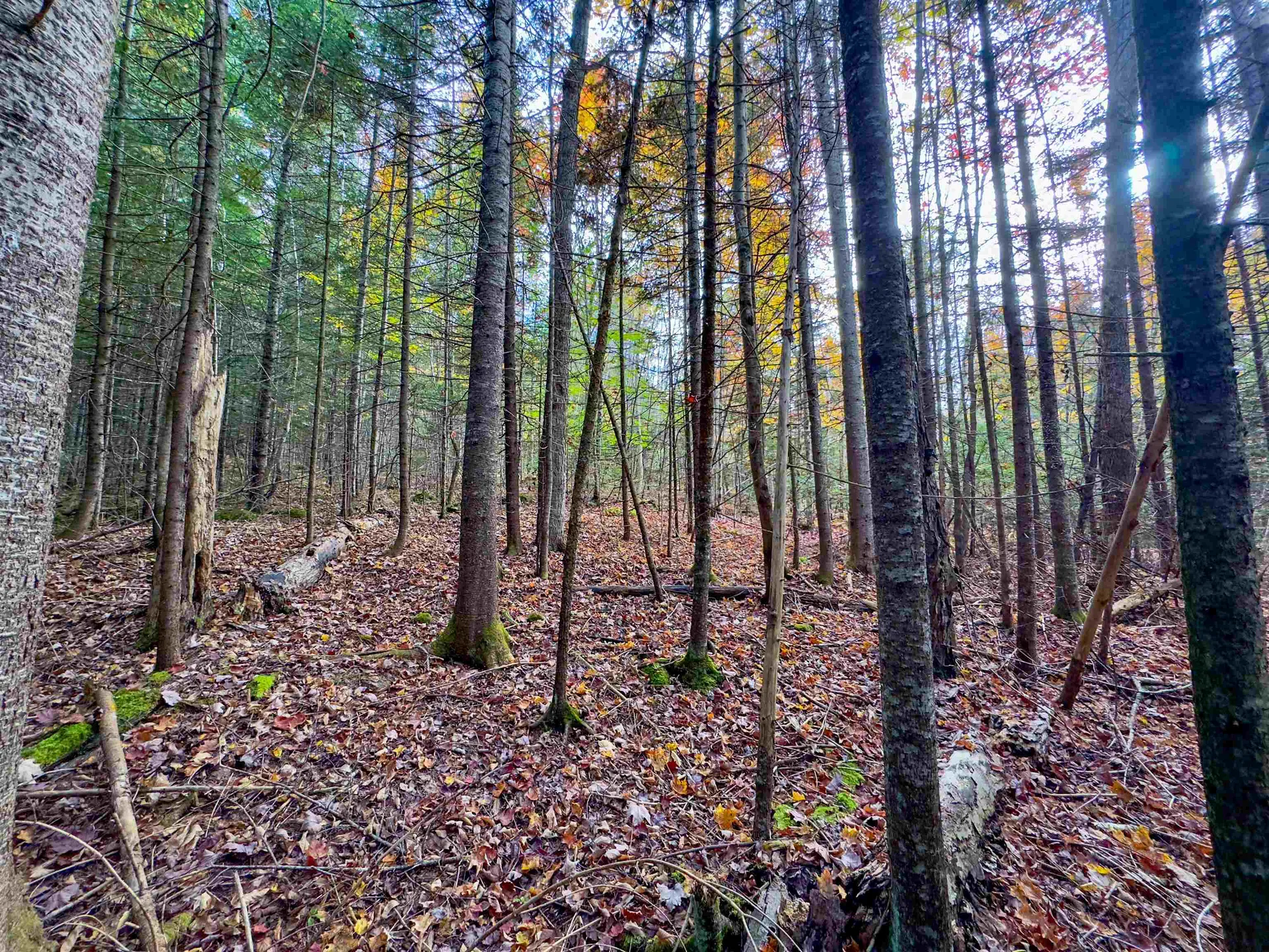 00 West Main Street Lunenburg VT 05906