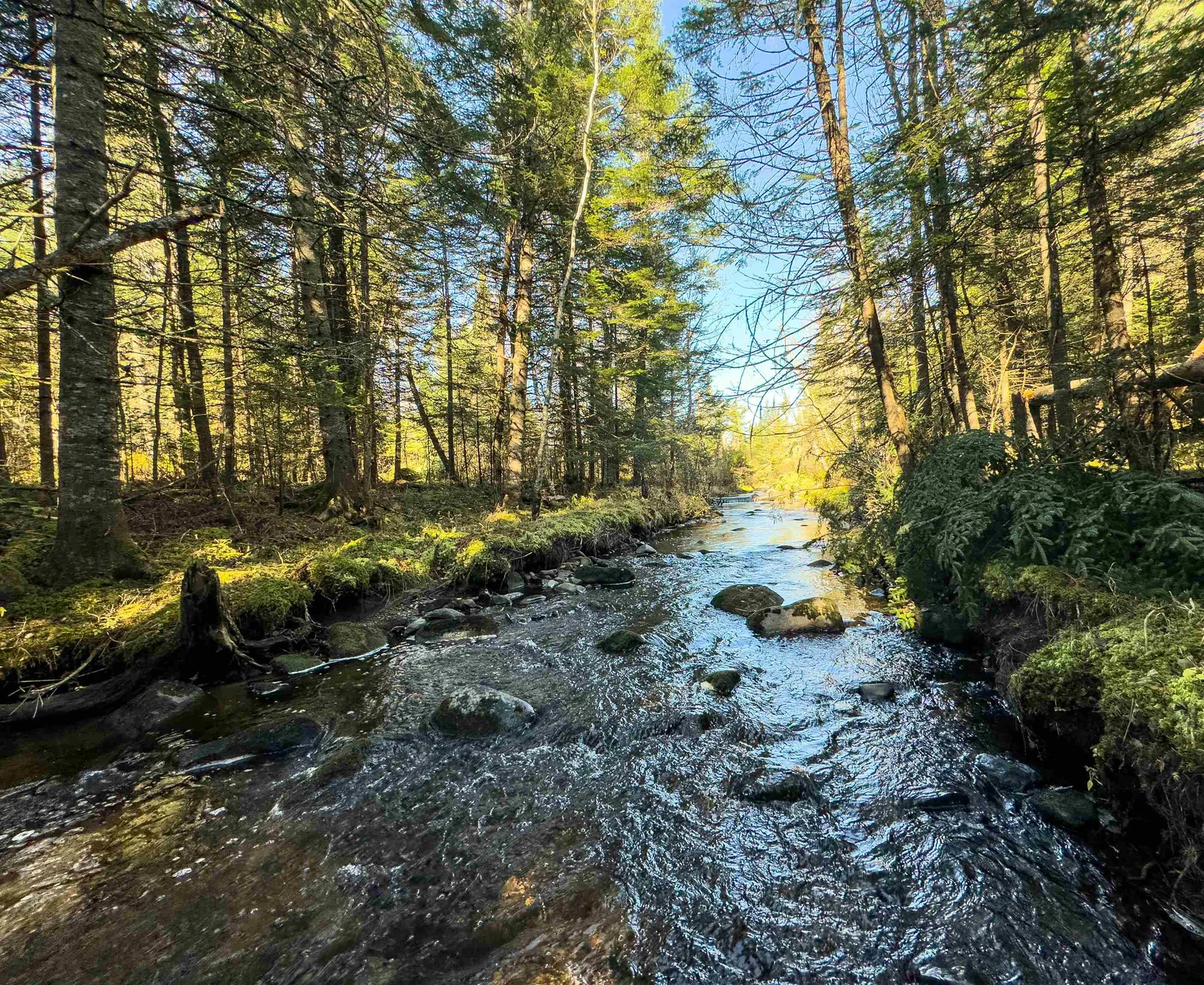 00 West Main Street Lunenburg VT 05906