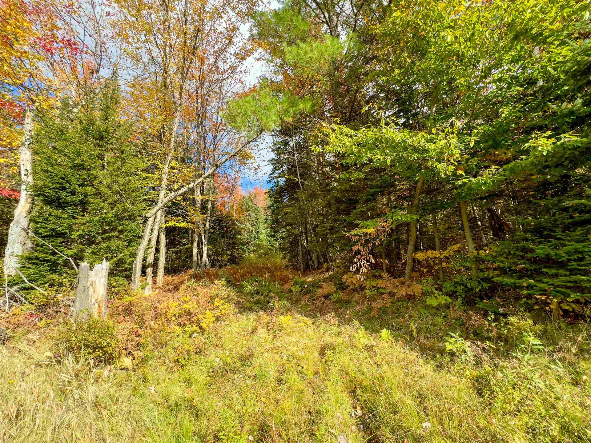 00 West Main Street Lunenburg VT 05906