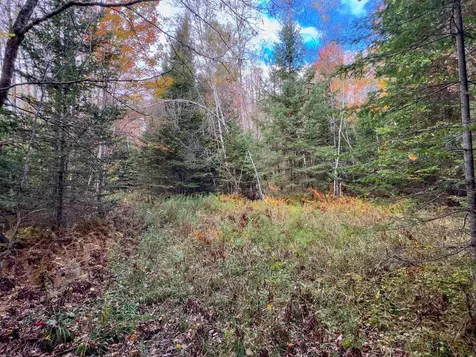 00 West Main Street Lunenburg VT 05906