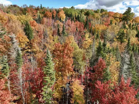 00 West Main Street Lunenburg VT 05906