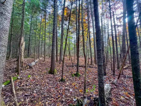 00 West Main Street Lunenburg VT 05906