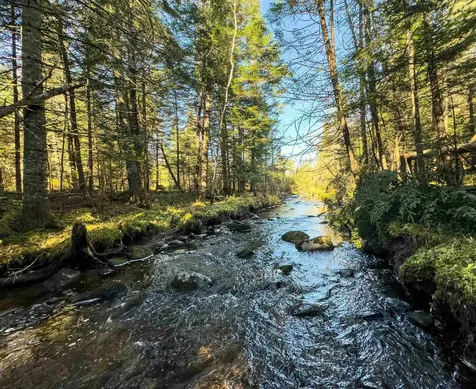 00 West Main Street Lunenburg VT 05906