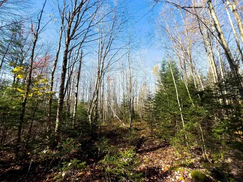 00 West Main Street Lunenburg VT 05906