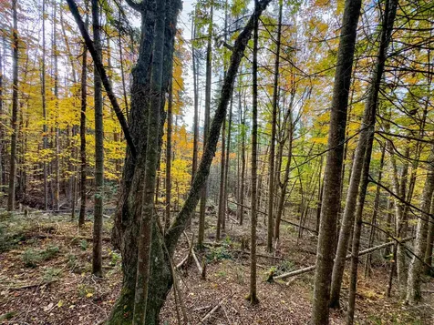 00 West Main Street Lunenburg VT 05906