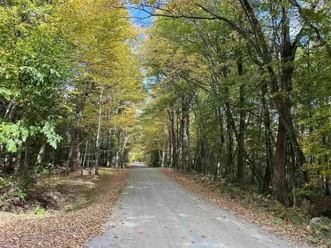 268 Murphy Road Braintree VT 05060