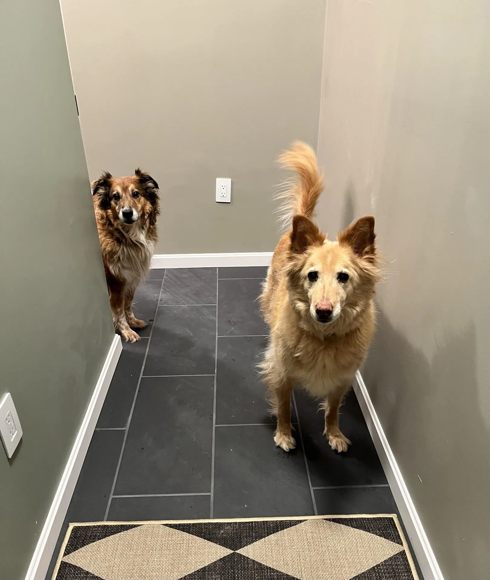 9 Blueberry Hill Road Plymouth NH 03264