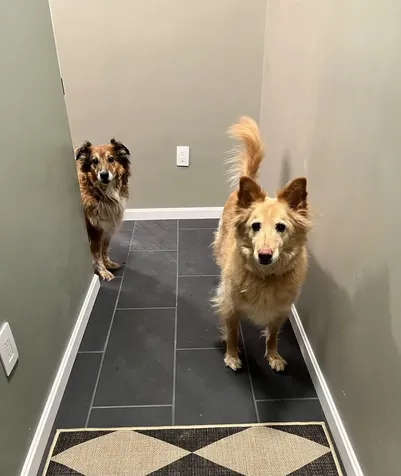 9 Blueberry Hill Road Plymouth NH 03264