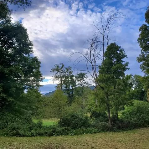 51 Chiselville Road Sunderland VT 05250-9766