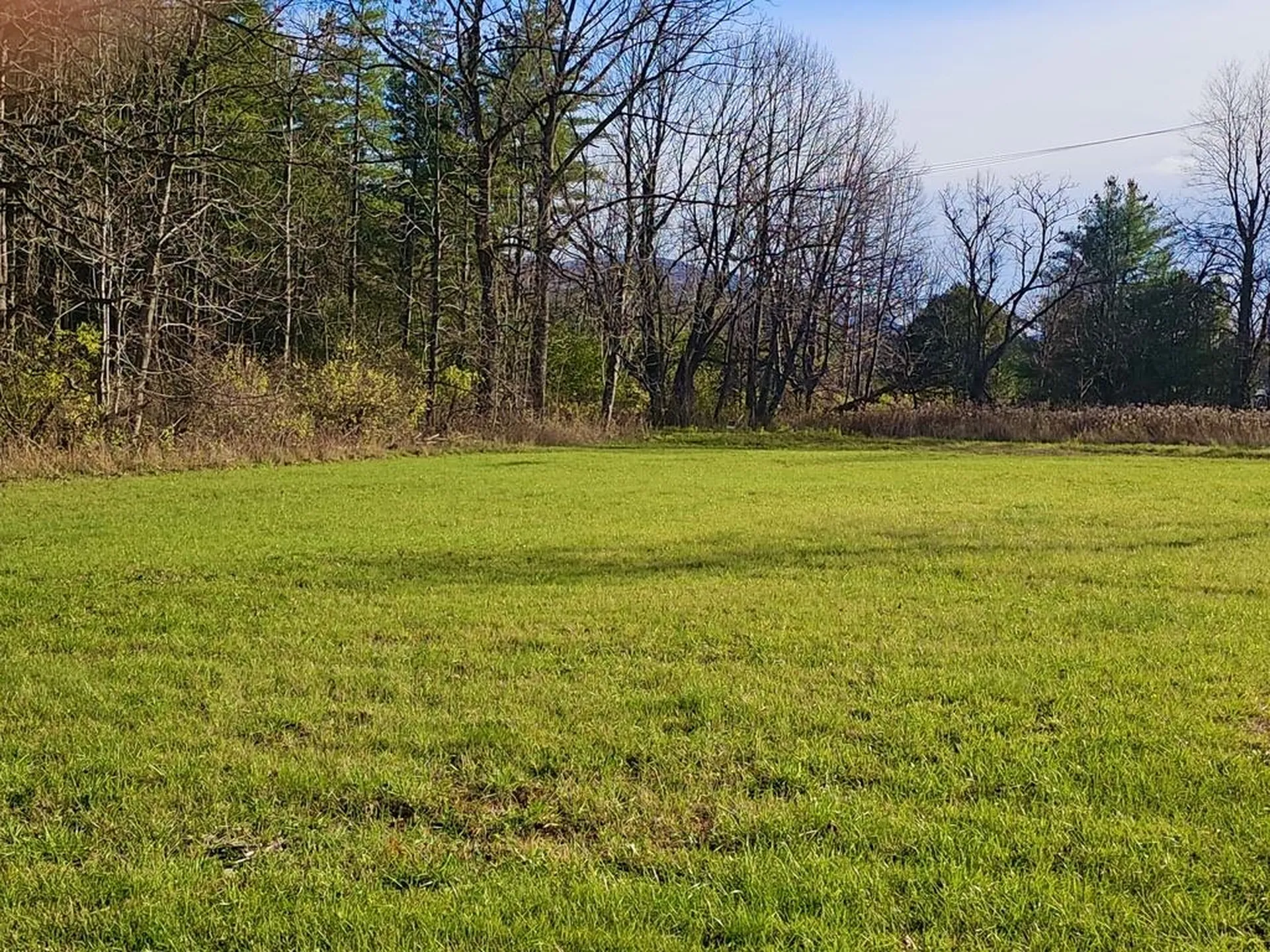 Tbd Case Street Middlebury VT 05753