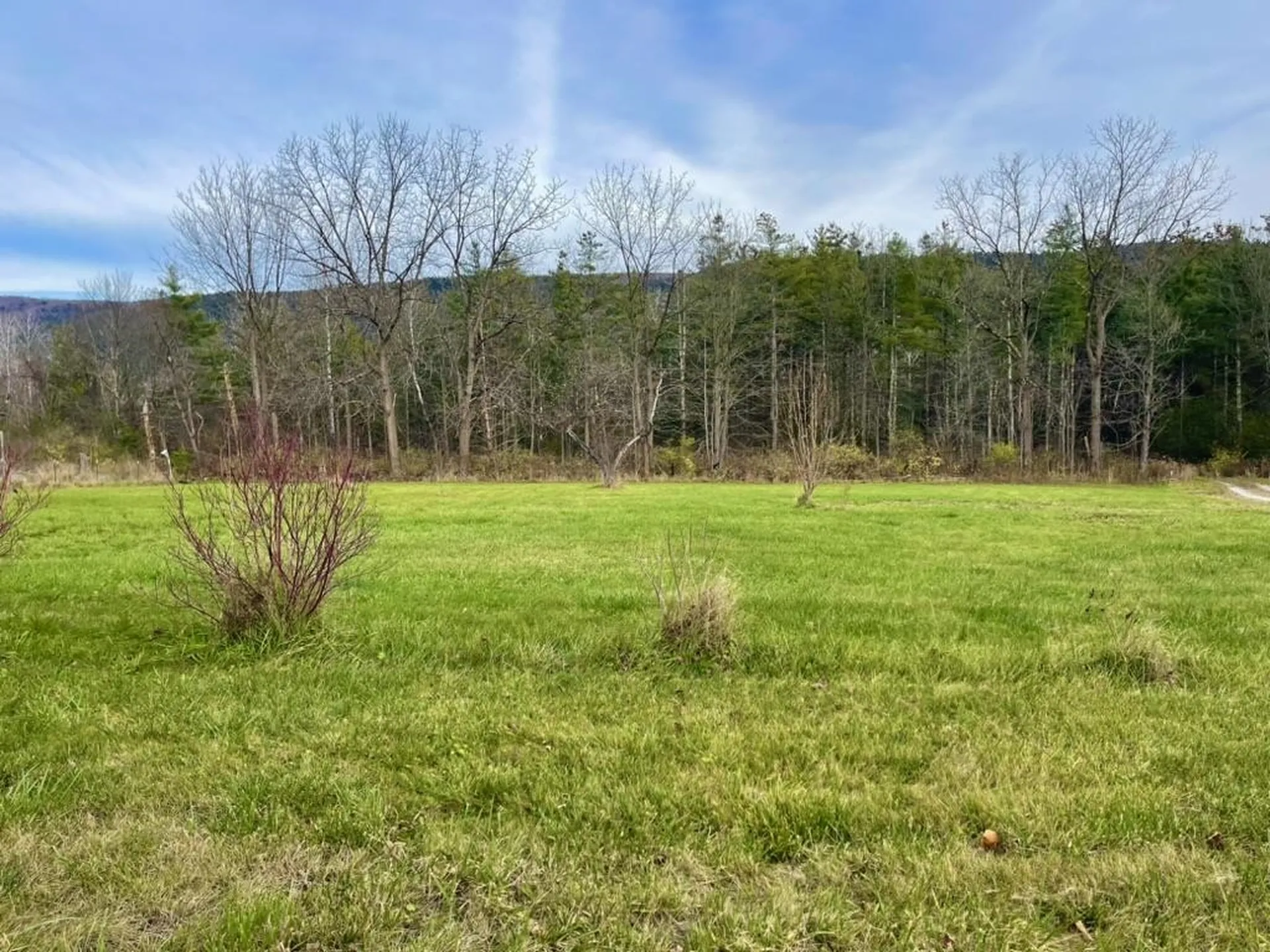 Tbd Case Street Middlebury VT 05753