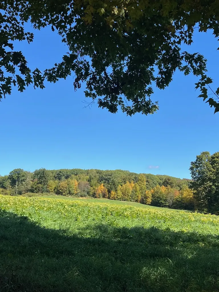 18 Levi Howard Road Brattleboro VT 05301