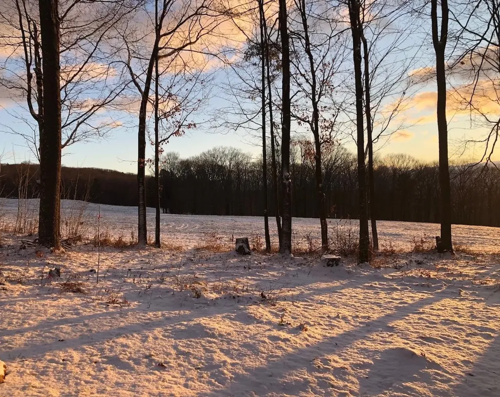 18 Levi Howard Road Brattleboro VT 05301