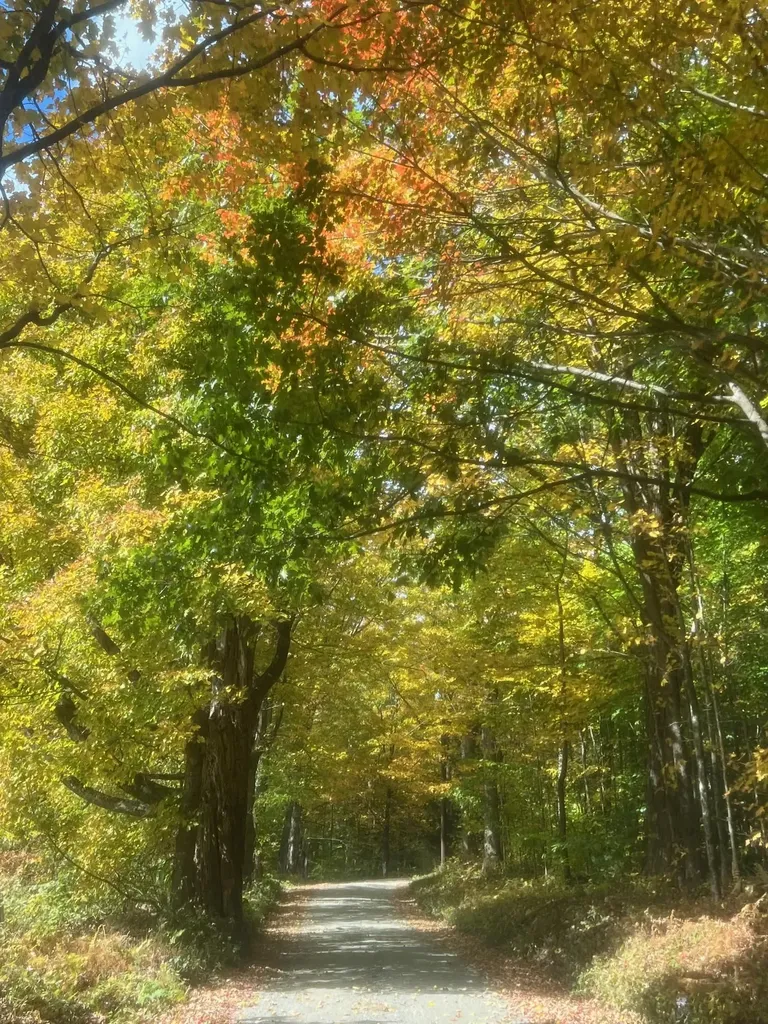 18 Levi Howard Road Brattleboro VT 05301