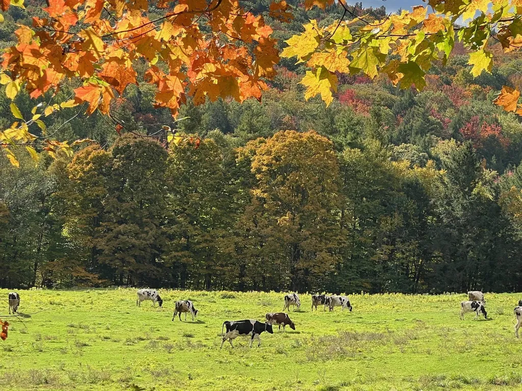 18 Levi Howard Road Brattleboro VT 05301