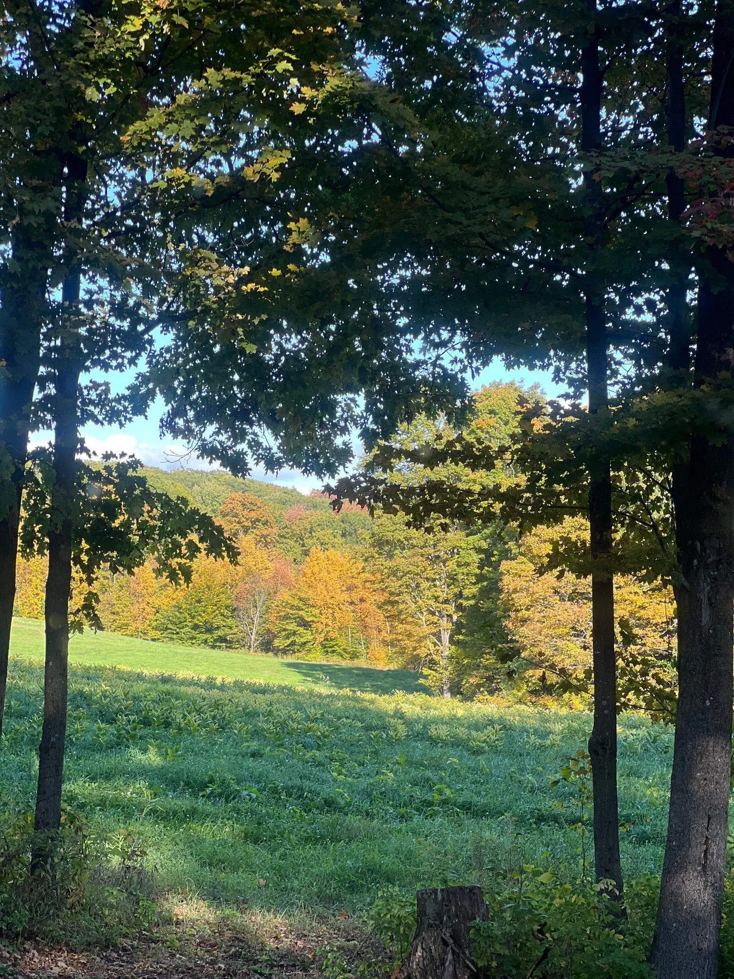 18 Levi Howard Road Brattleboro VT 05301