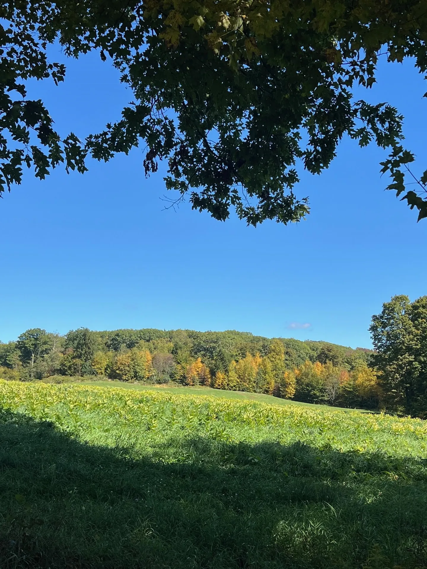 18 Levi Howard Road Brattleboro VT 05301