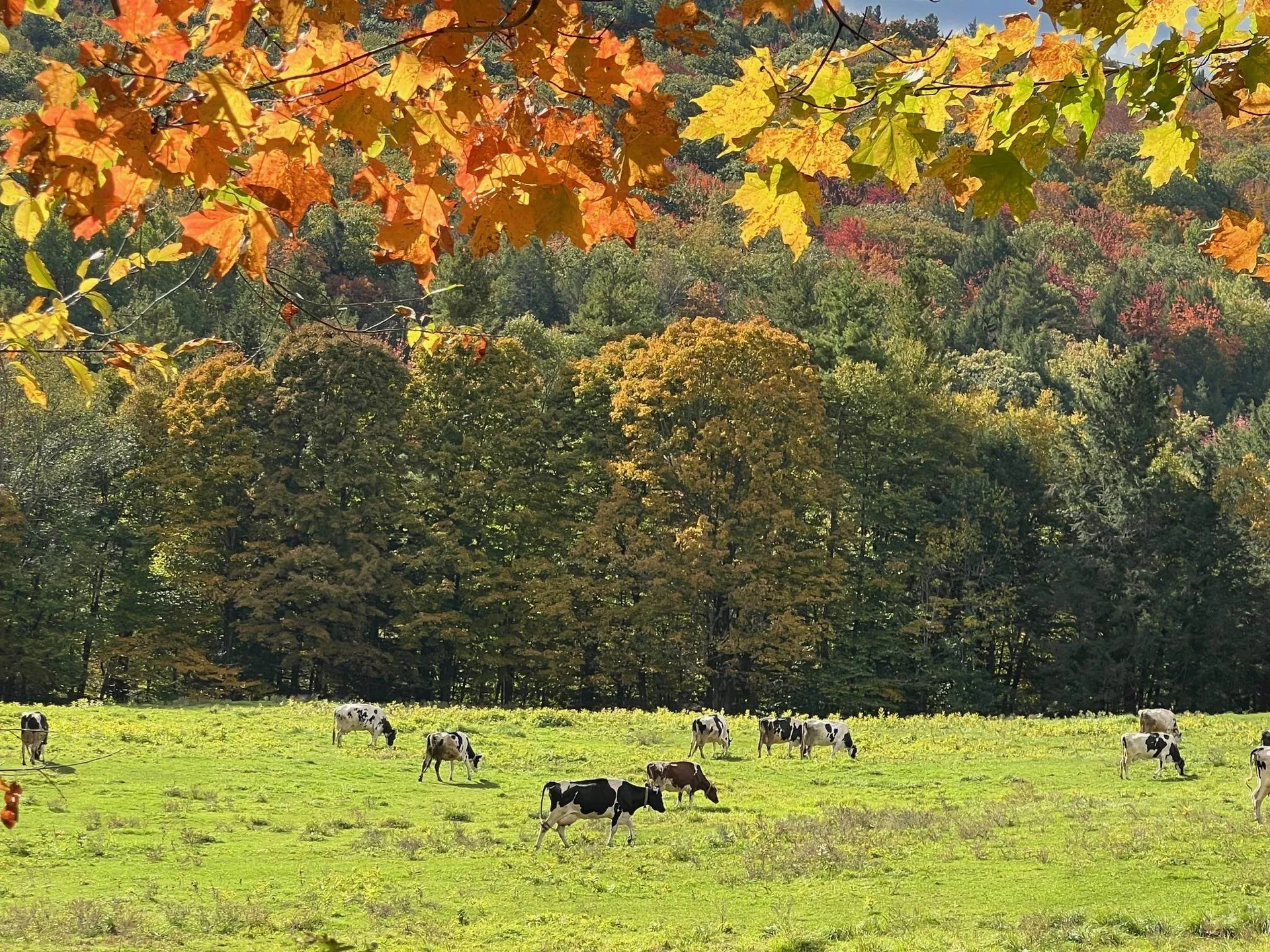 18 Levi Howard Road Brattleboro VT 05301