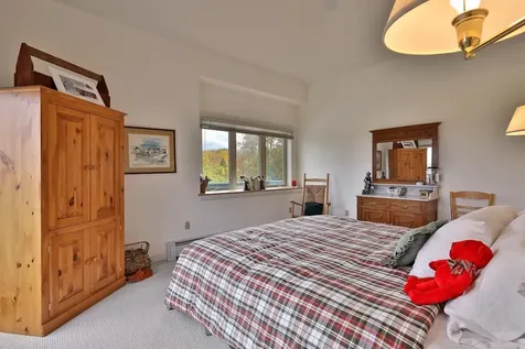 75 Alpine Way Ludlow VT 05149