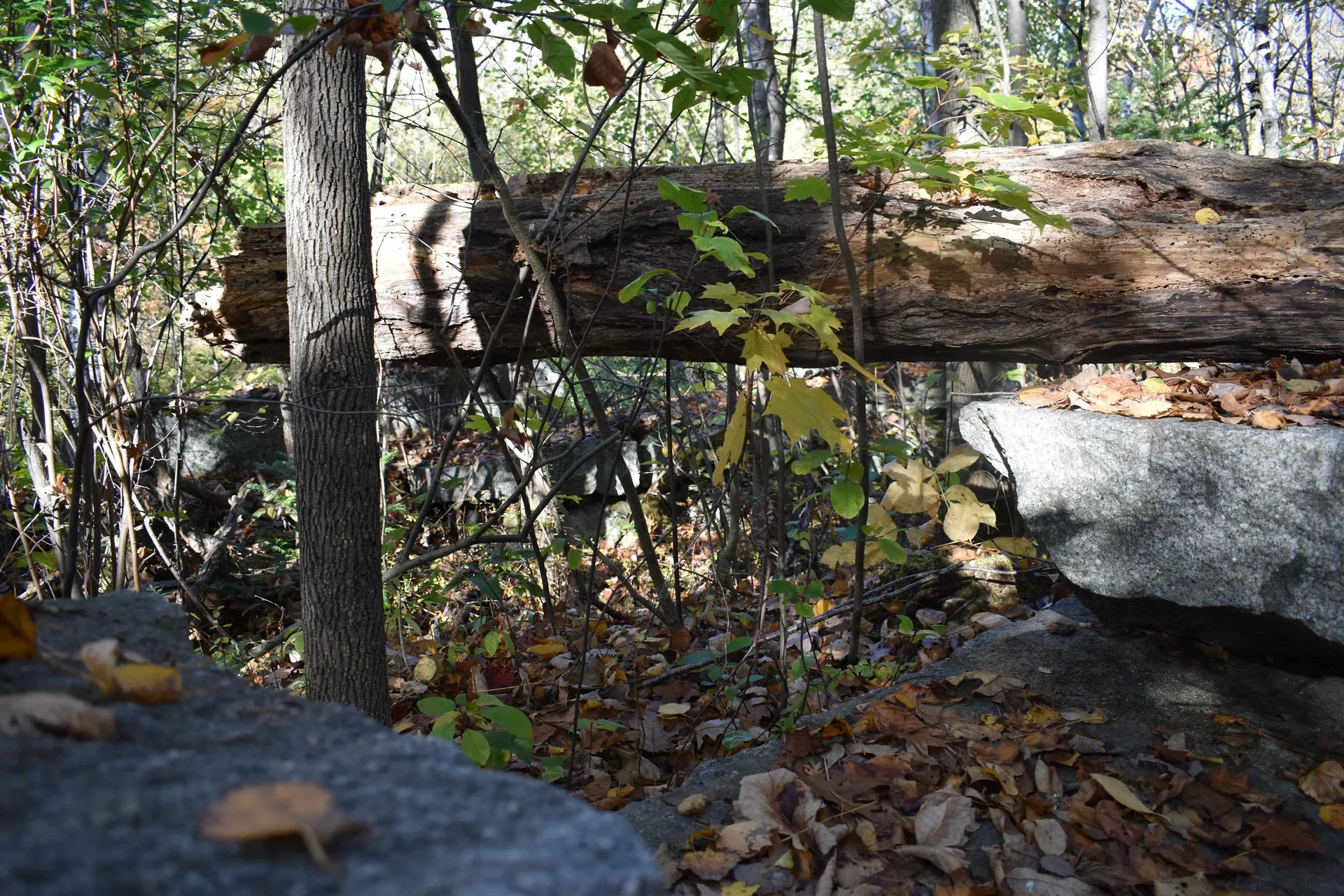 00 Pillsbury Street Enfield NH 03748