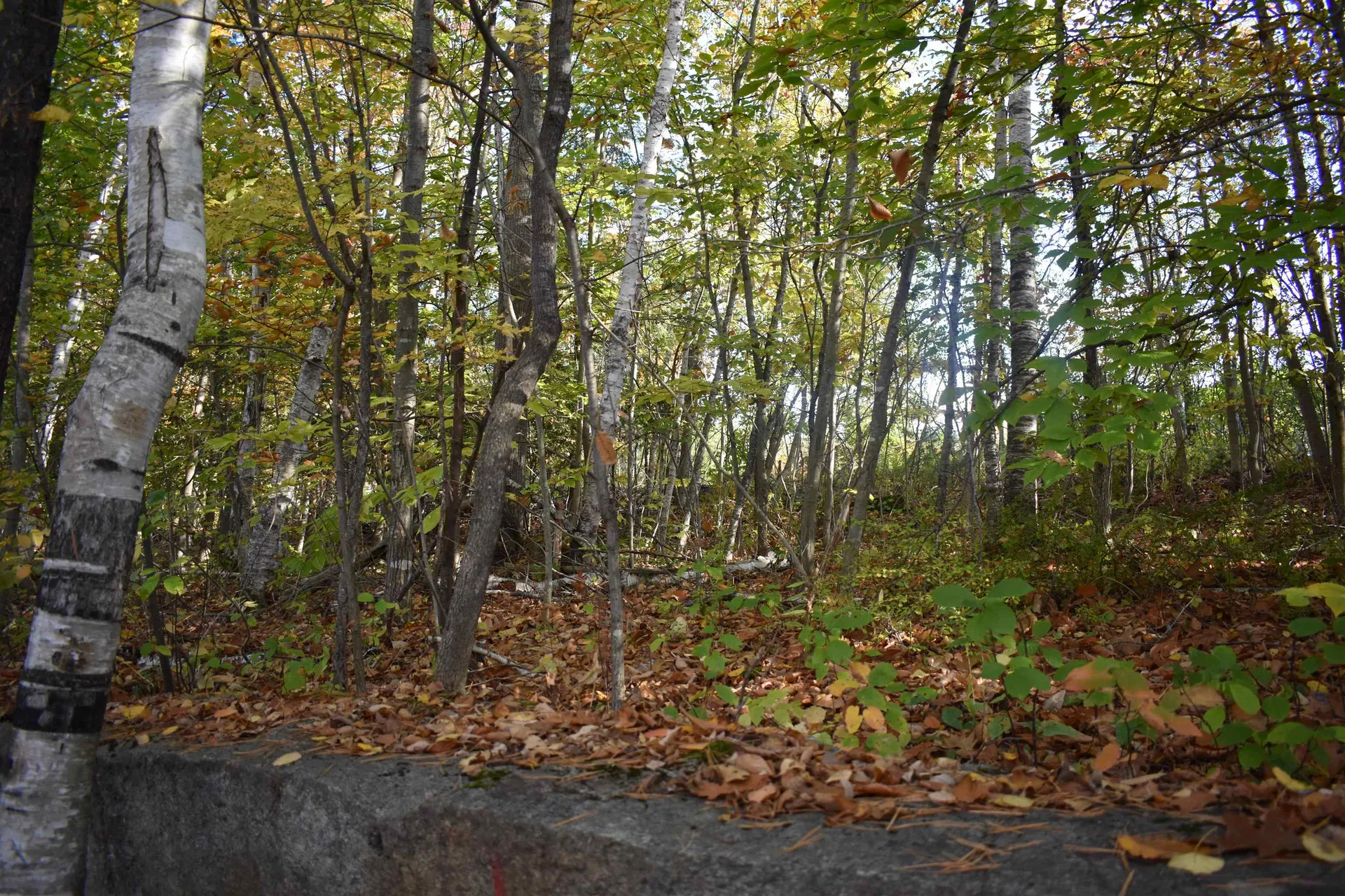 00 Pillsbury Street Enfield NH 03748