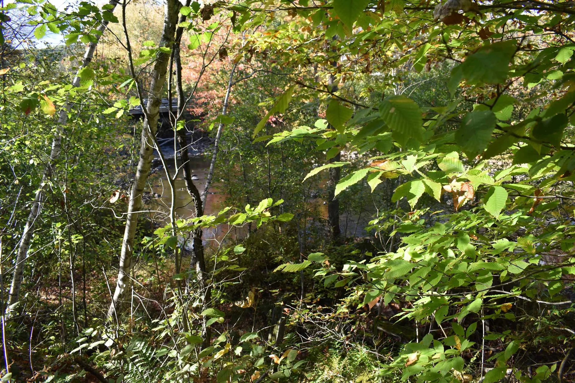 00 Pillsbury Street Enfield NH 03748