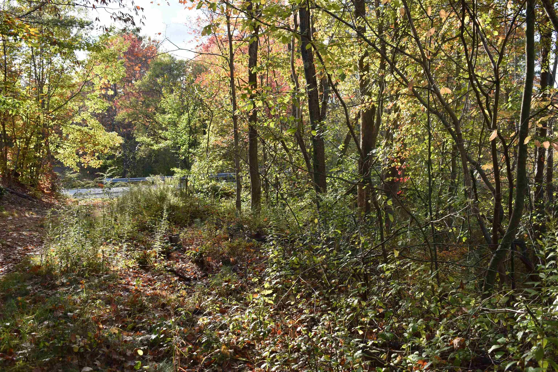 00 Pillsbury Street Enfield NH 03748