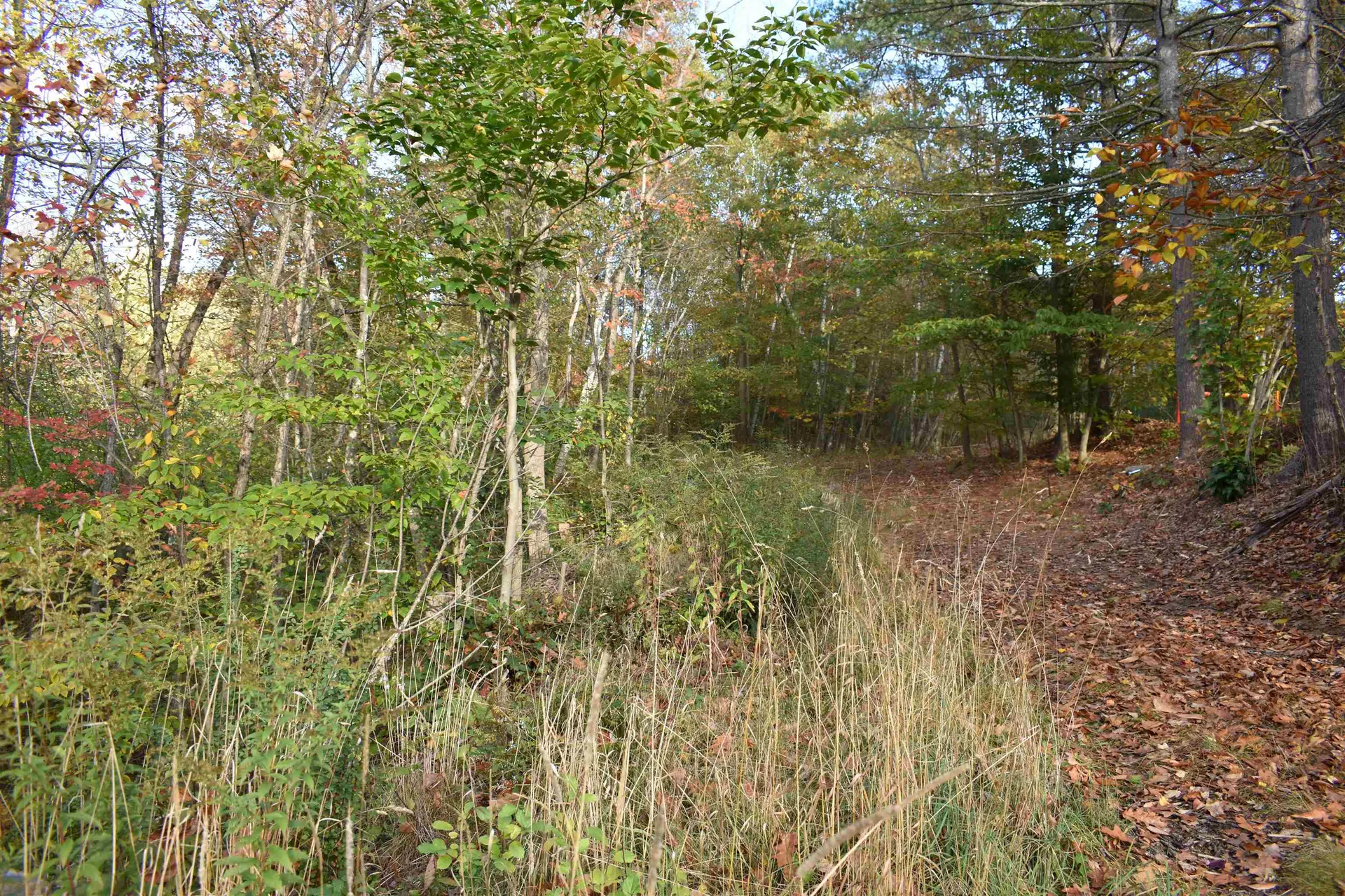 00 Pillsbury Street Enfield NH 03748