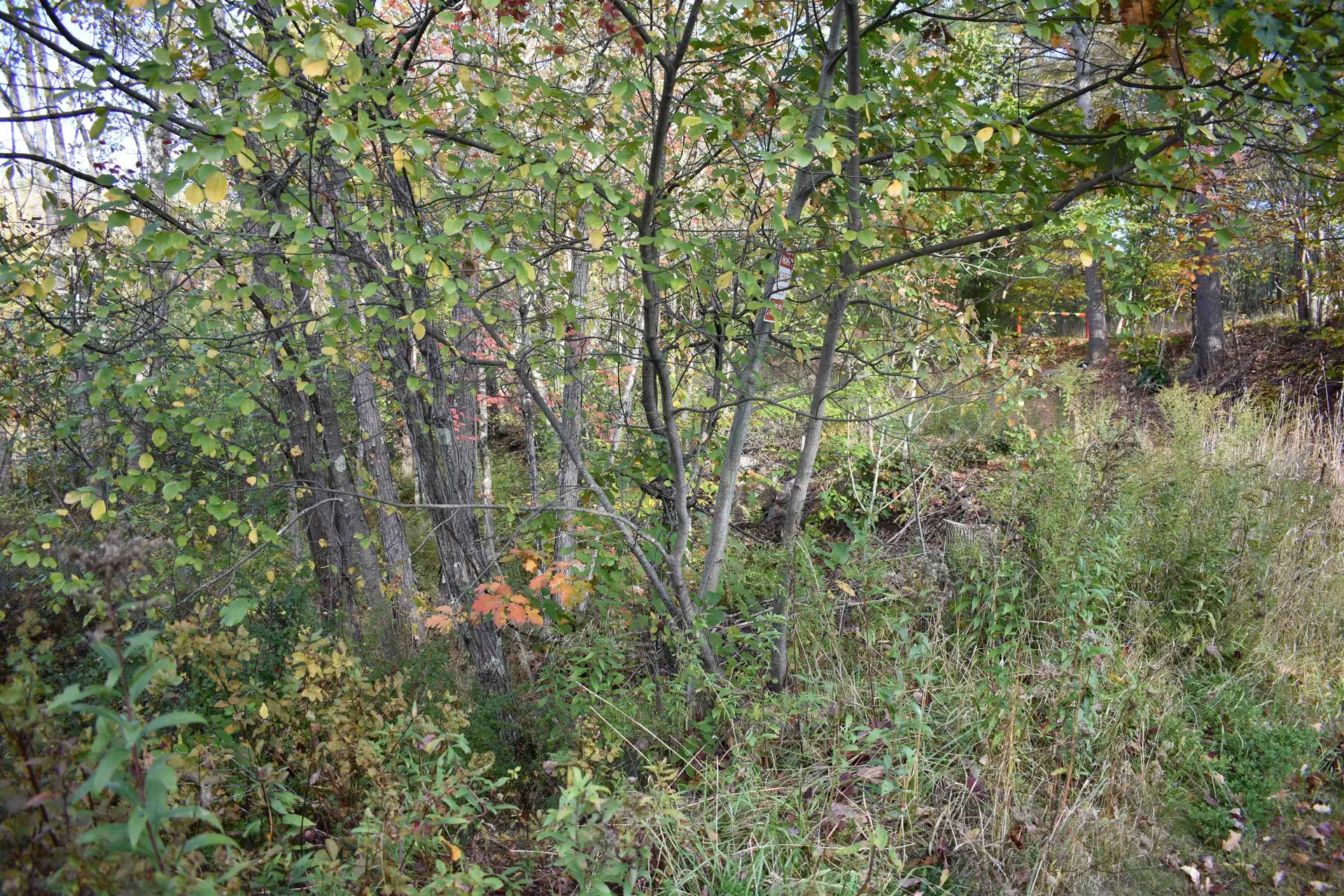 00 Pillsbury Street Enfield NH 03748