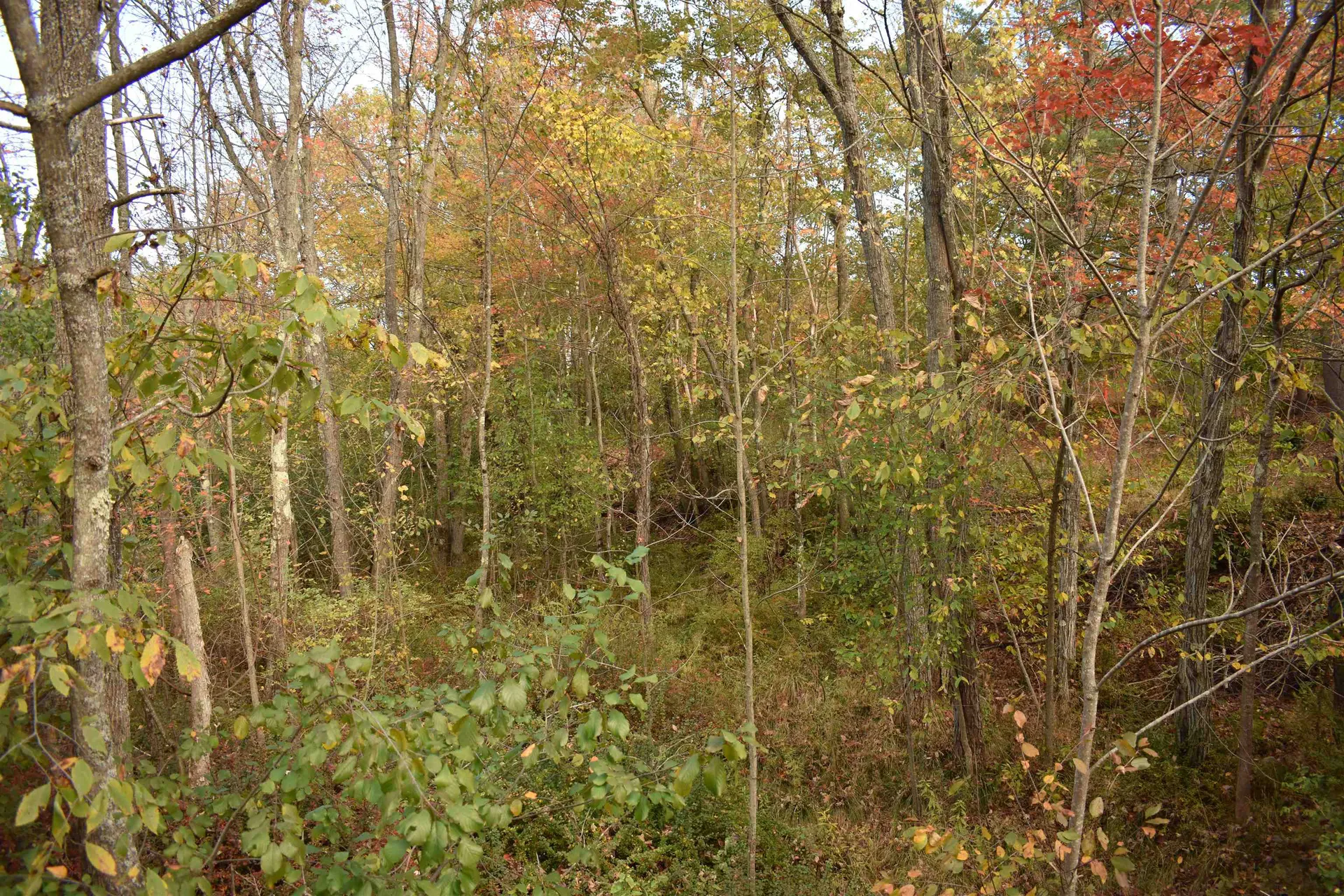 00 Pillsbury Street Enfield NH 03748