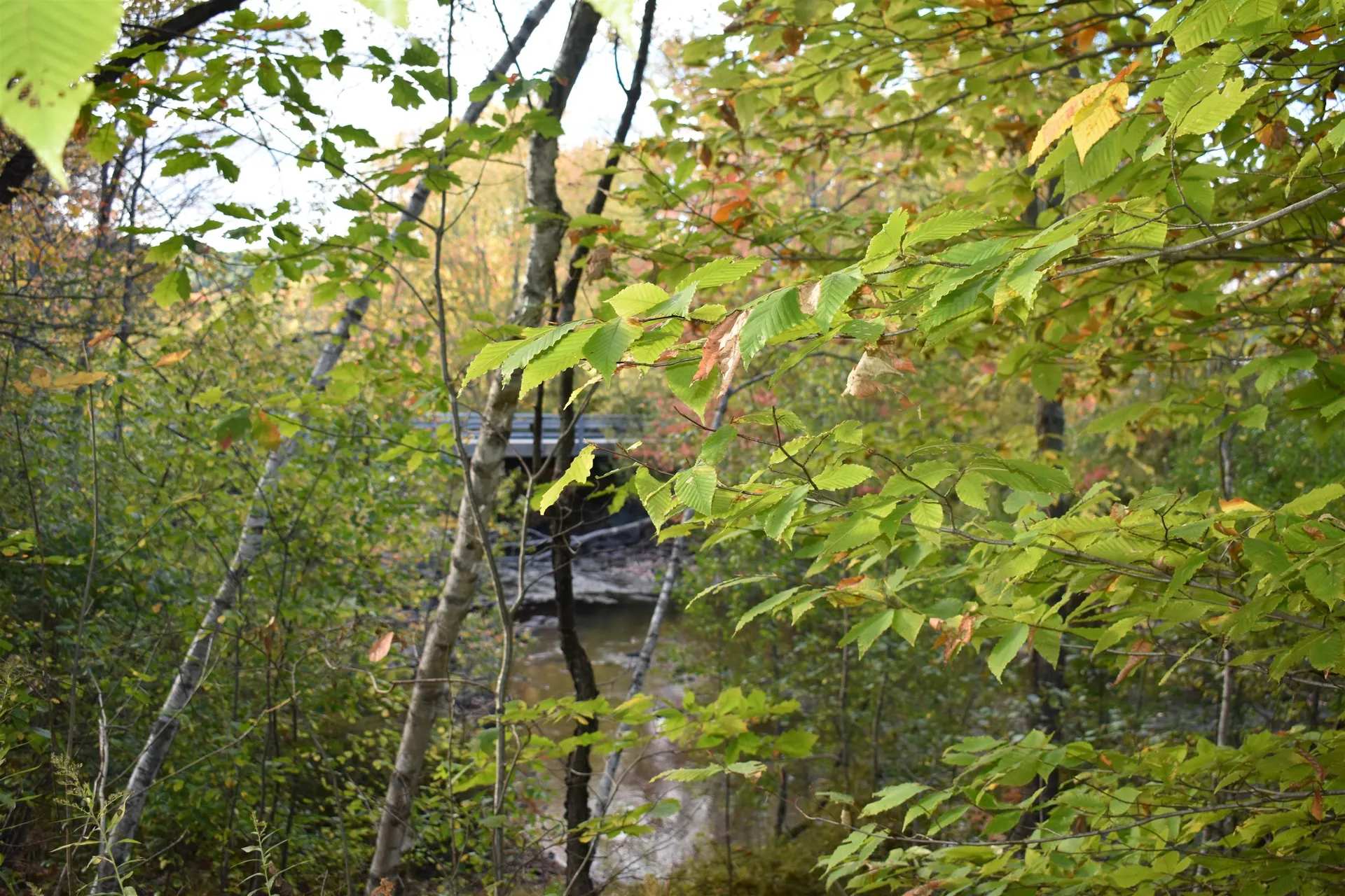 00 Pillsbury Street Enfield NH 03748