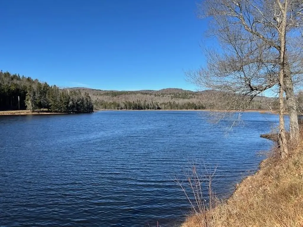 1334 Burbee Pond Road Windham VT 05359