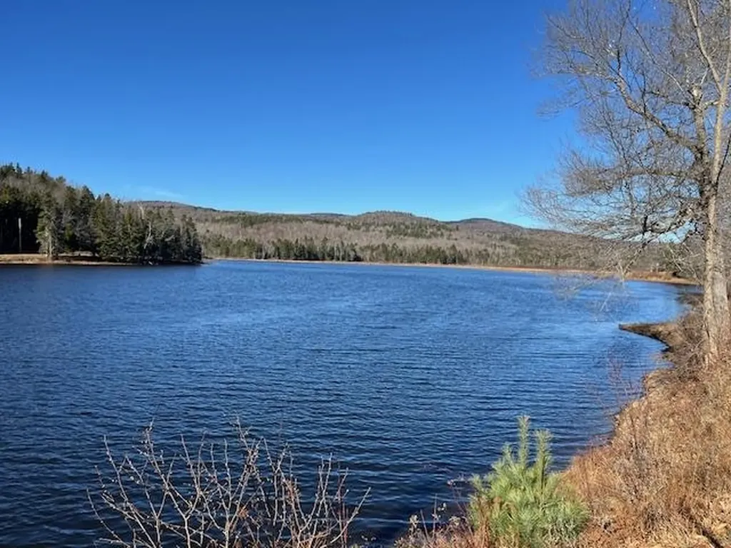 1334 Burbee Pond Road Windham VT 05359