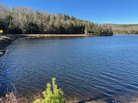 1334 Burbee Pond Road Windham VT 05359