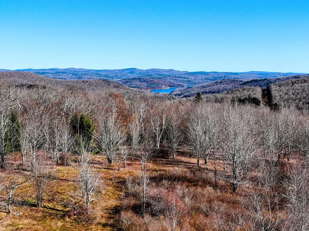 194 Route 8 Searsburg VT 05363
