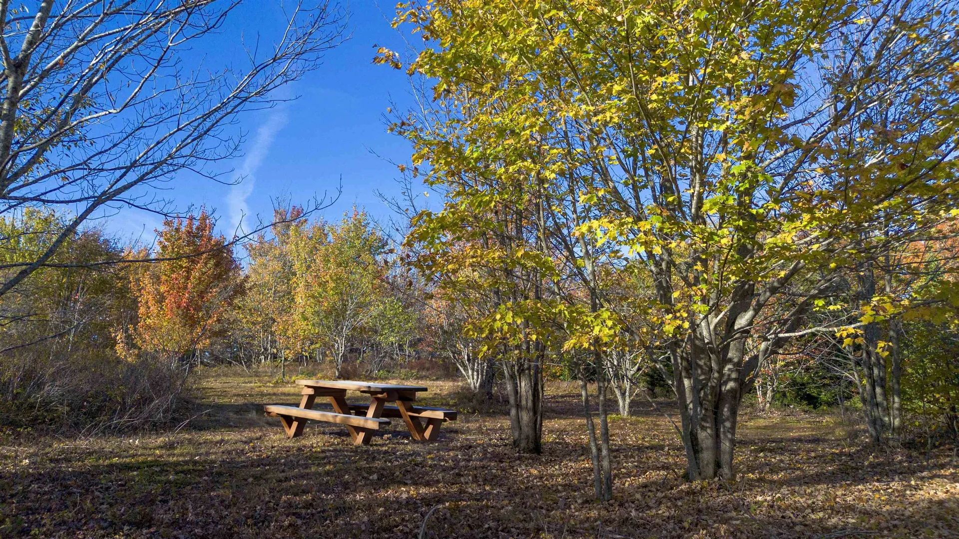 194 Route 8 Searsburg VT 05363