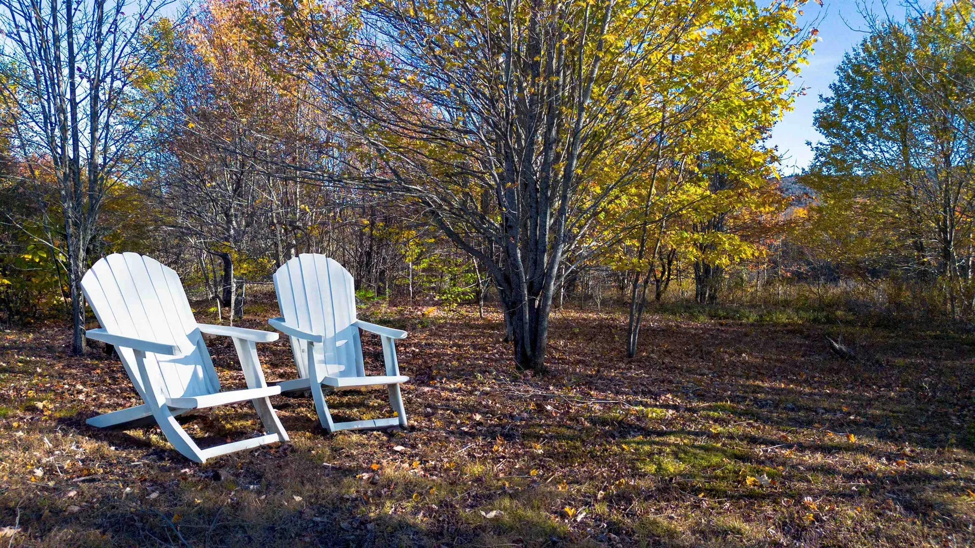 194 Route 8 Searsburg VT 05363