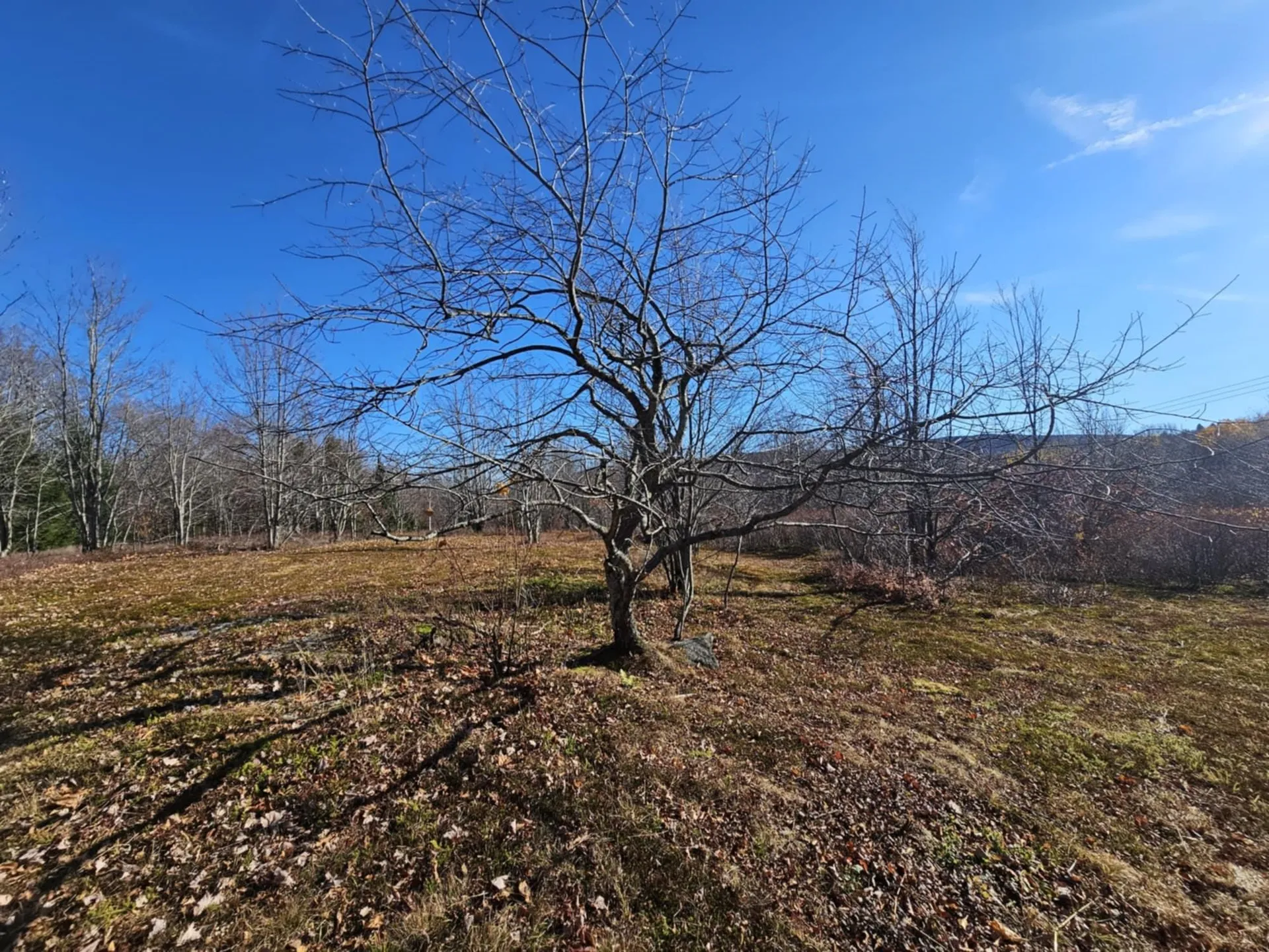 194 Route 8 Searsburg VT 05363