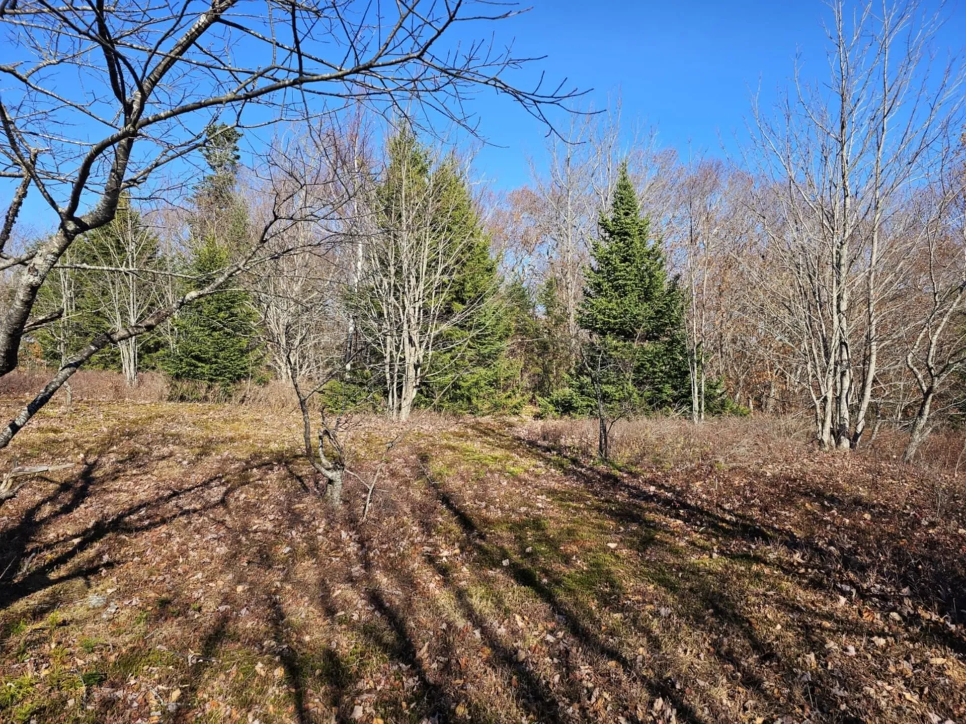 194 Route 8 Searsburg VT 05363