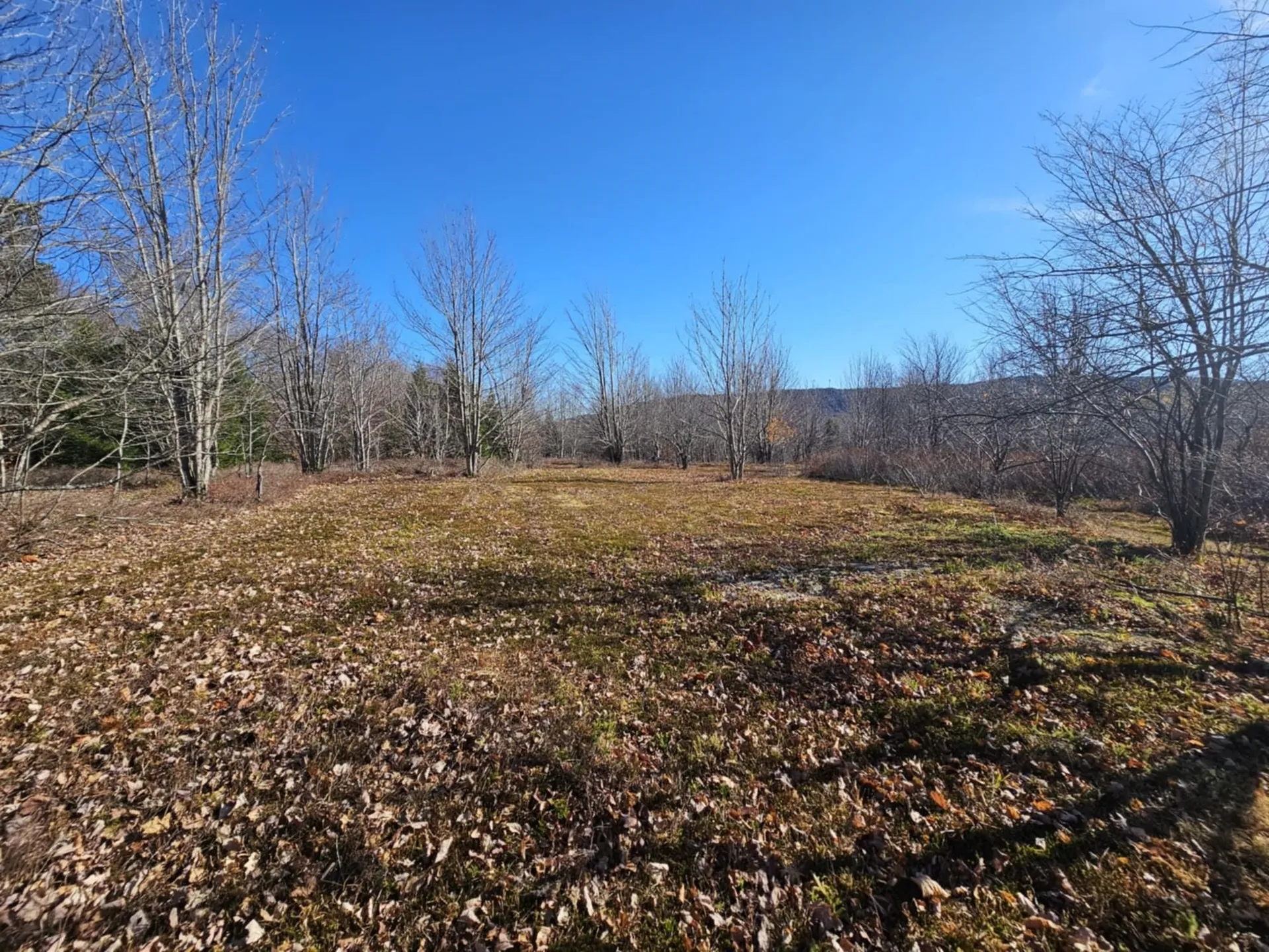 194 Route 8 Searsburg VT 05363