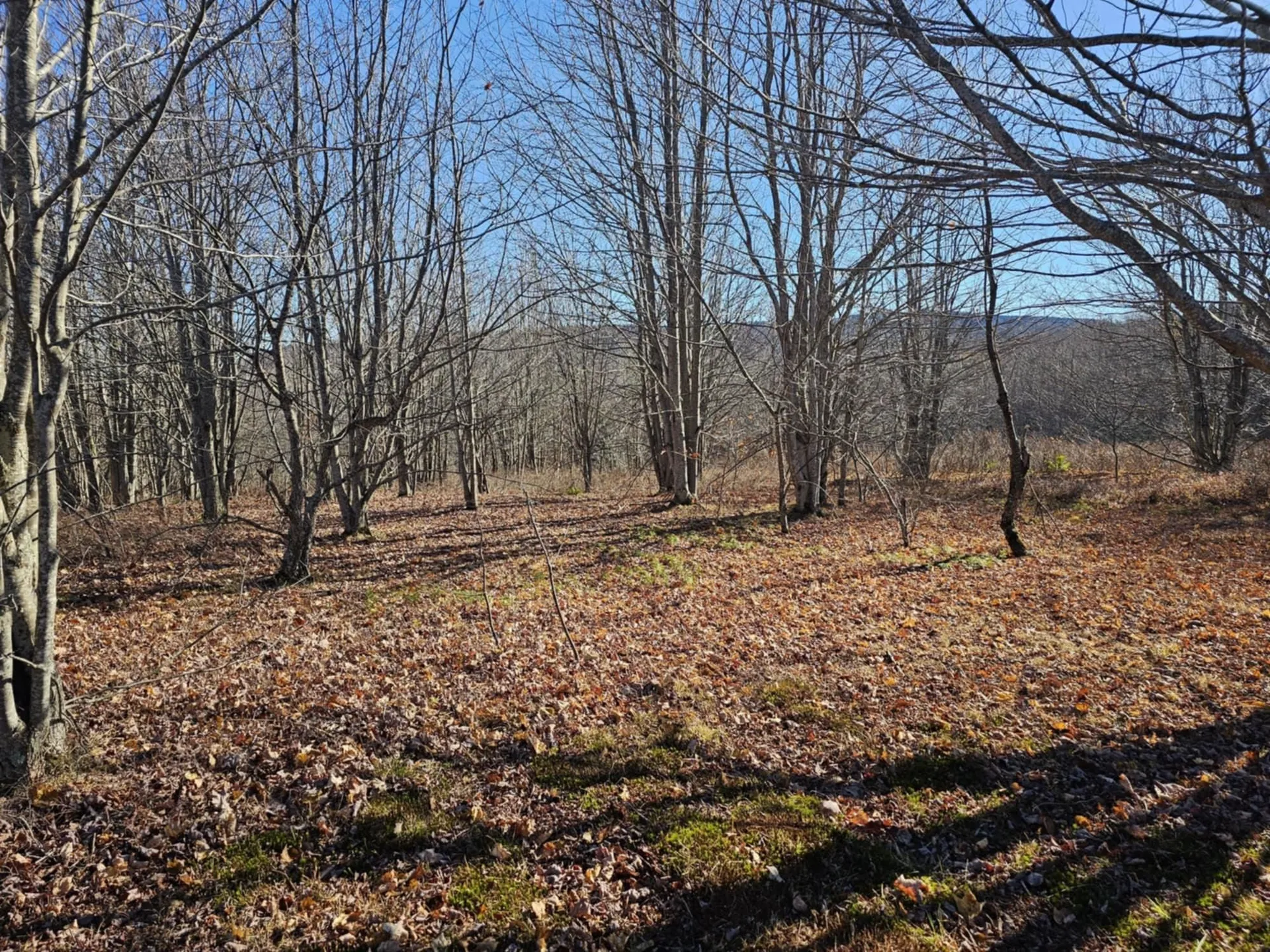 194 Route 8 Searsburg VT 05363