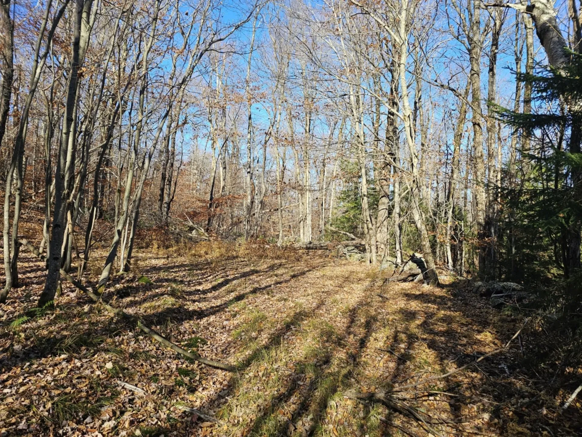 194 Route 8 Searsburg VT 05363